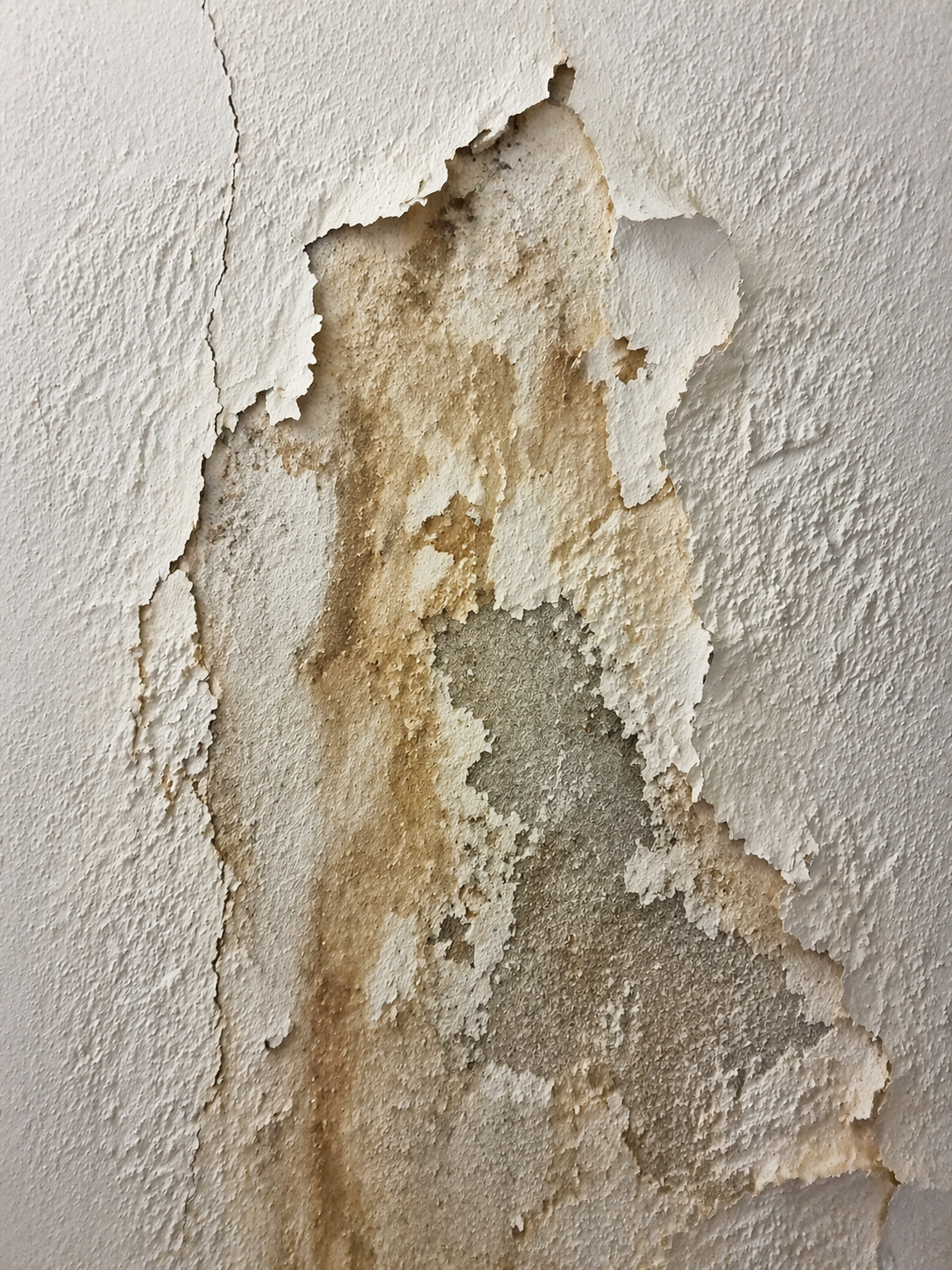 Paint adhesion test on wall